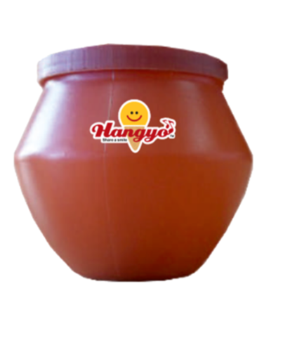 Hangyo Matka Kulfi 100 ml