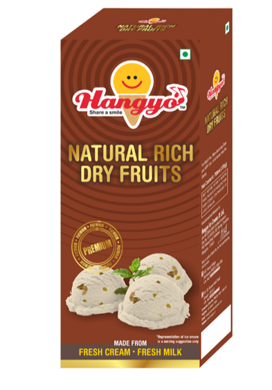 Hangyo Natural Rich Dry Fruits Ice Cream Box - Family Pack