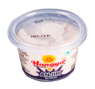 Hangyo Anjir Ice Cream 100 ml cup