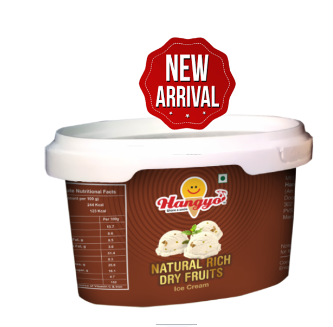 Hangyo Natural Rich Dry Fruits Ice Cream  125 ml Tub